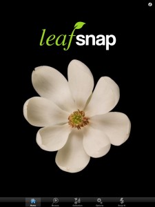 leafsnap