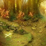 The Lost City 5