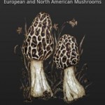 IFungi: Ένας πλήρης οδηγός για μανιτάρια 3 iFUNGI 1
