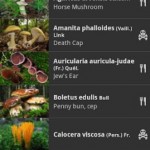 IFungi: Ένας πλήρης οδηγός για μανιτάρια 5 iFUNGI 3