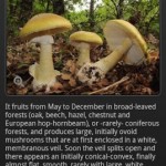 IFungi: Ένας πλήρης οδηγός για μανιτάρια 7 iFUNGI 5