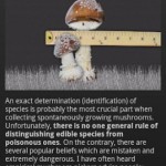 IFungi: Ένας πλήρης οδηγός για μανιτάρια 9 iFUNGI 7