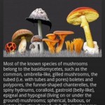 IFungi: Ένας πλήρης οδηγός για μανιτάρια 10 iFUNGI 8