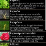 Giatrosofia: Όλα για τα βότανα και τα αιθέρια έλαια! 4 Giatrosofia 3