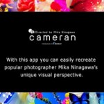 Cameran: Για έργα τέχνης 3 cameran 1