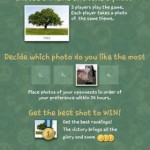 PhotoGame 2