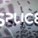 Splice main