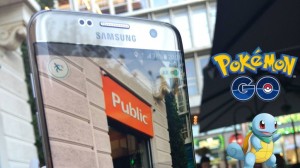 Pokemon_Hunting_Public