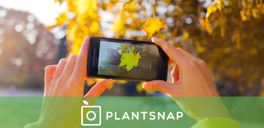 PlantSnap - Προσδιορίστε φυτά 1 9e45aa5c5279ea24ce45aceeb051e740 original