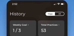 Yoga | Down Dog Yoga | Down Dog