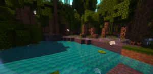unnamed 3